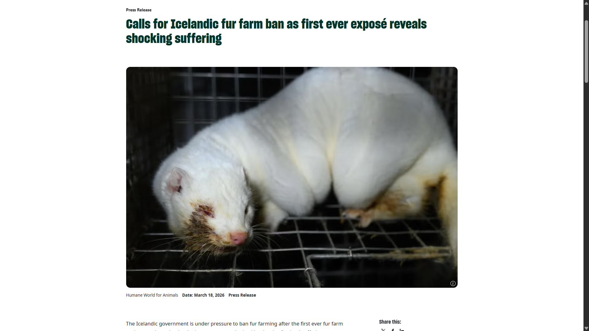 News Sources Dashboard